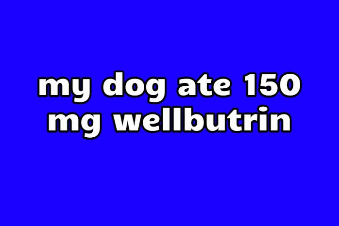 my dog ate 150 mg wellbutrin